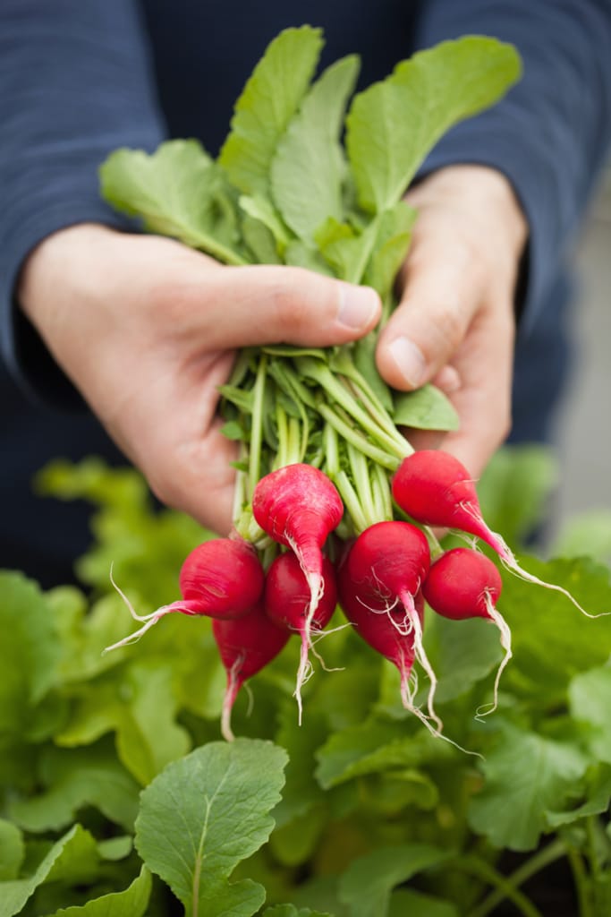 container gardening