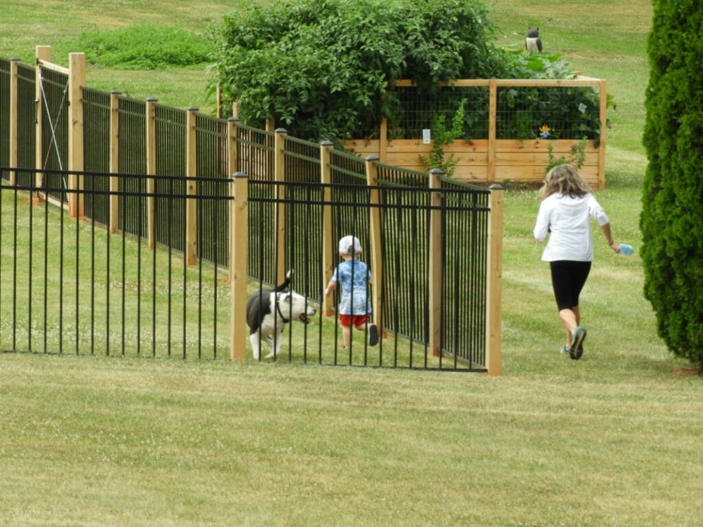 diy dog fencing options