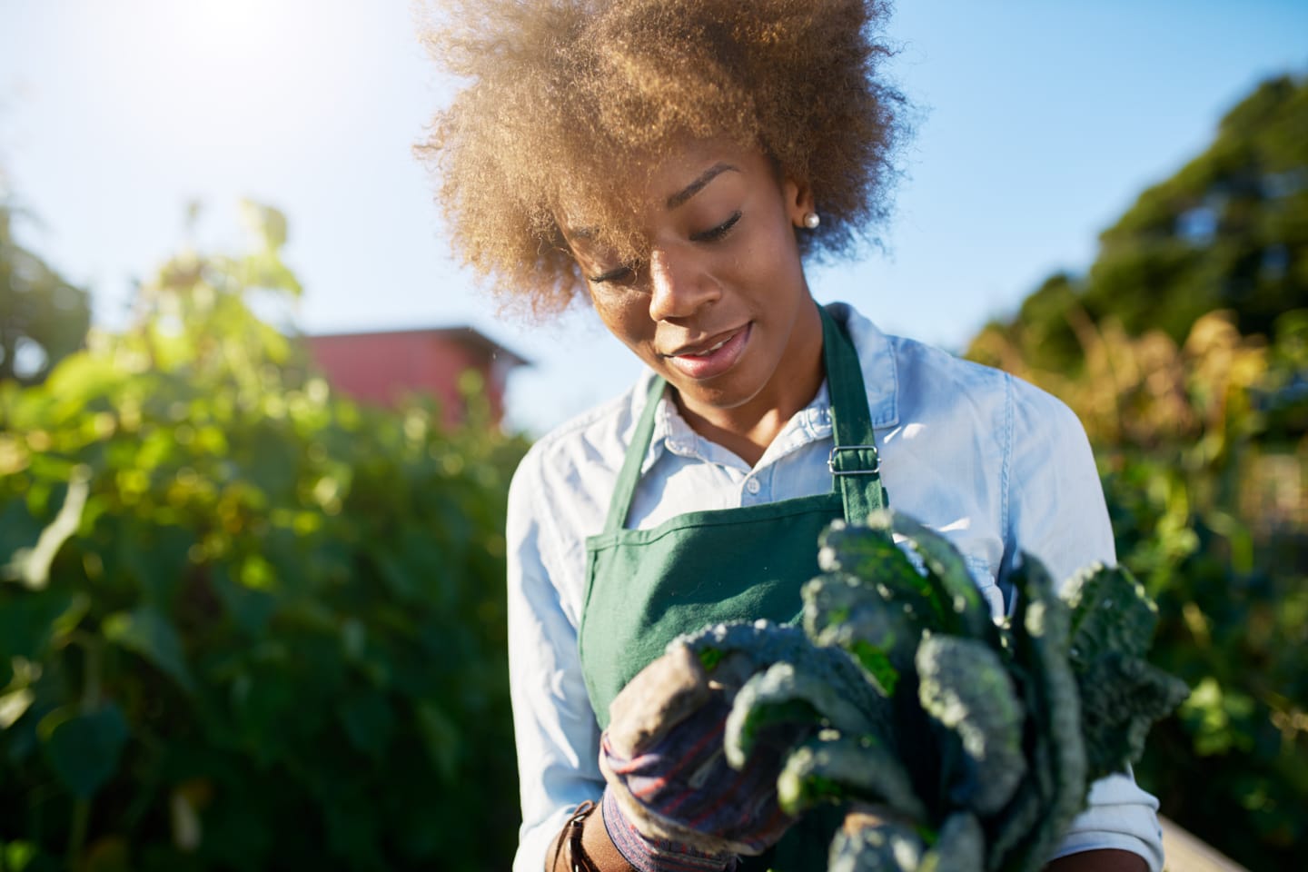 gardening