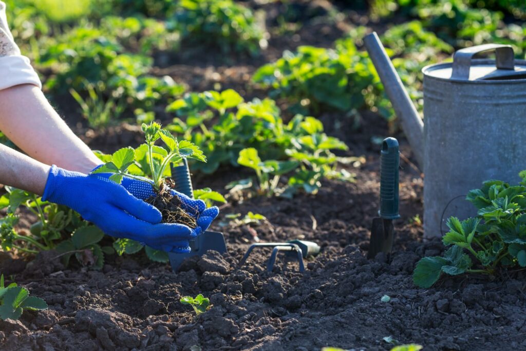 garden technology