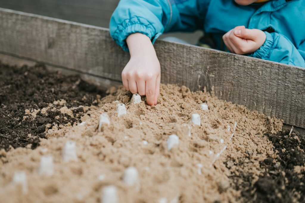 getting an early start on your garden